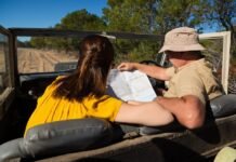 Kruger National Park Safari Itinerary: Self-Drive or Guided?