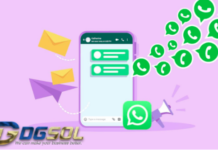 Top Malaysia WhatsApp Blasting Agency for Business Growth | Dgsol